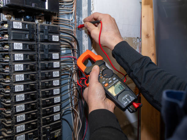 Best Electrical Wiring Services  in Iowa Falls, IA